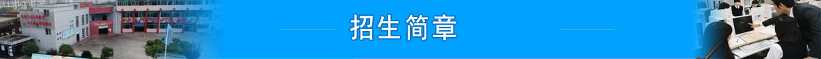 2025年招生简章